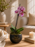 Orquídea Ébano Rosé